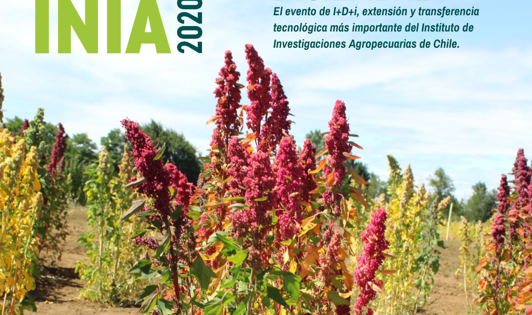 Expo INIA 2020 analizó los desafíos del sector agroalimentario para el 2021