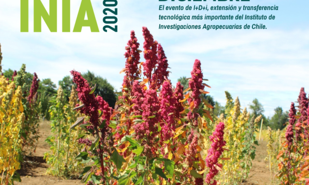 Expo INIA 2020 analizó los desafíos del sector agroalimentario para el 2021