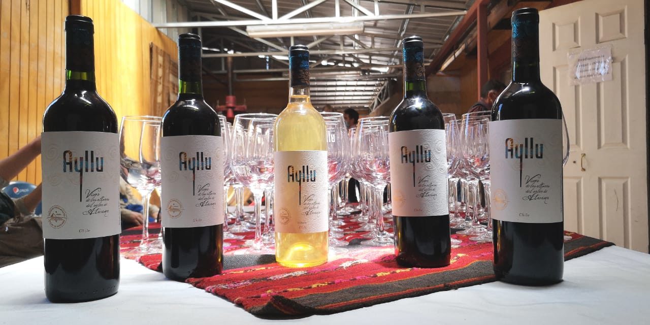 Pequeños Viñateros producen galardonados vinos a más de 2.600 metros de altura
