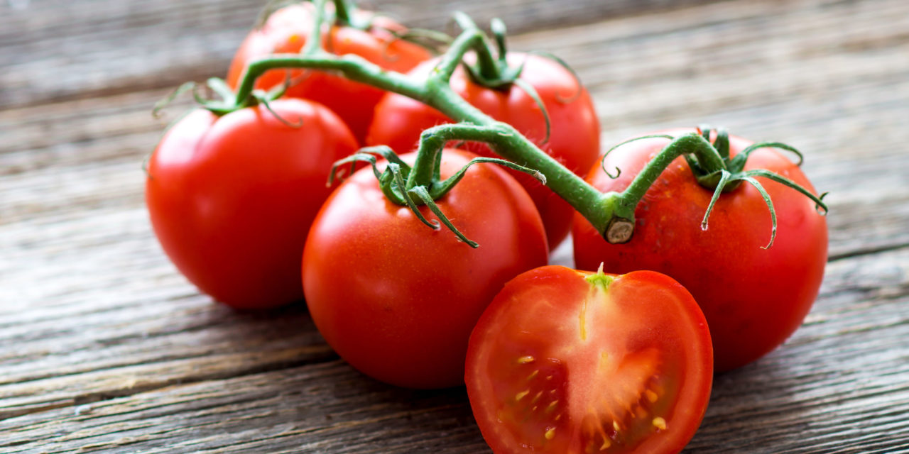 Científicos desarrollan tomate que contiene molécula utilizada para tratar Parkinson
