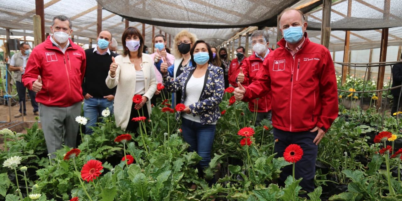 Gobierno entrega Bono de Emergencia por $172 millones para floricultoras de la Región de Valparaíso