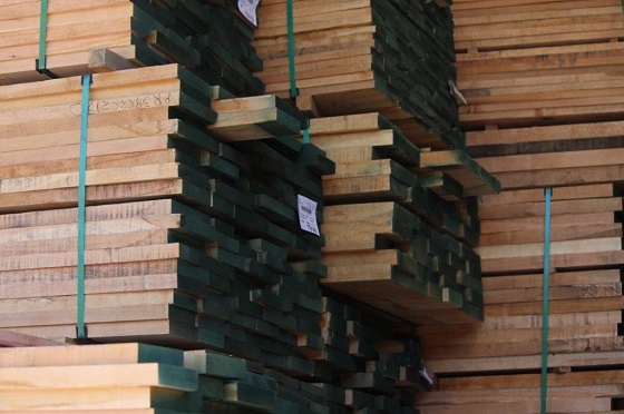 Exportaciones forestales experimentan leve repunte en noviembre