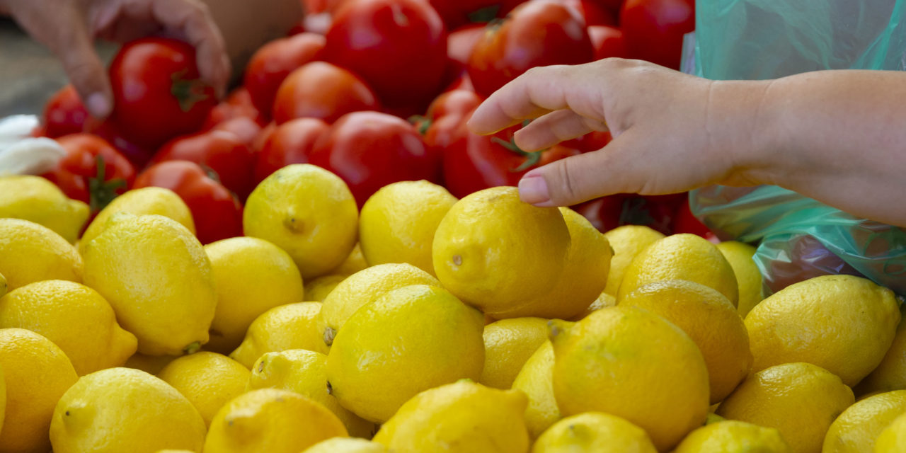 Primeros limones chilenos tienen como mercados de destinos el Lejano Oriente y EE. UU.