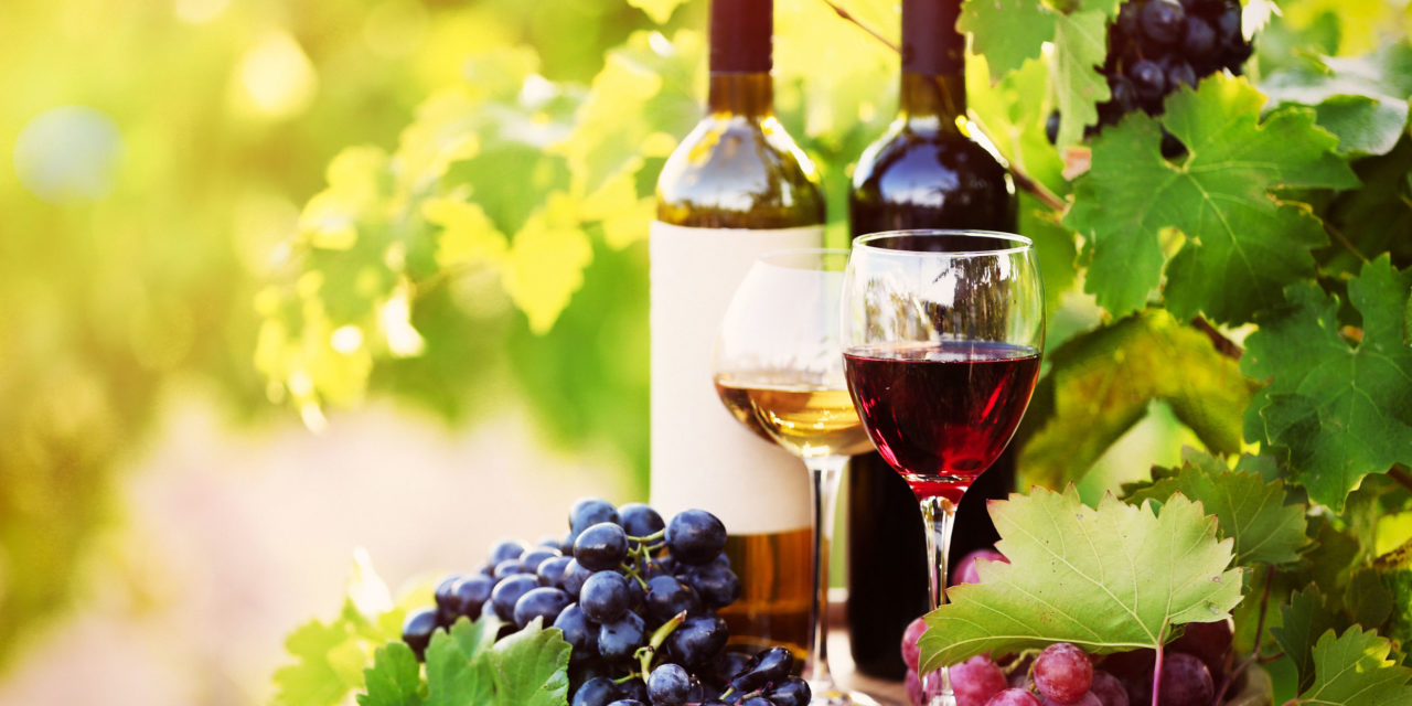 Chile ha alcanza el cuarto lugar entre los mayores exportadores de vino