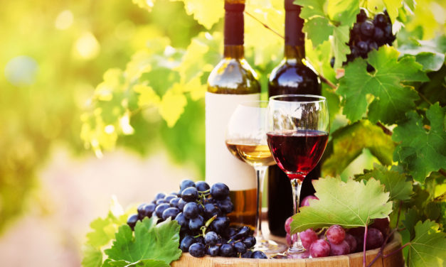 Exportaciones de vino llegan a 270,2 millones de litros, por un total de USD 598 millones, entre enero y abril de 2021