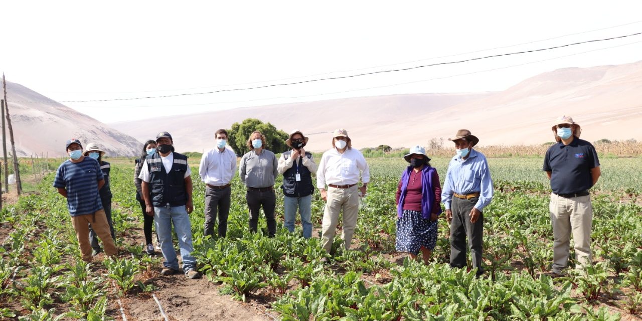En pleno desierto, agricultores consolidan sus productos