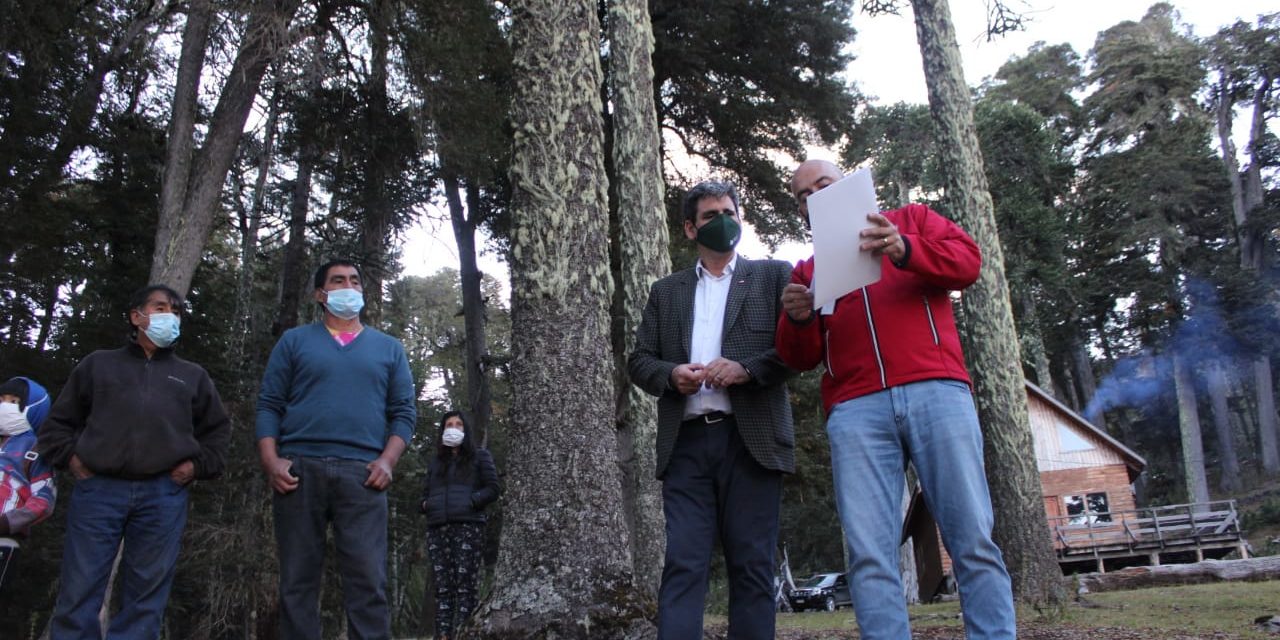 Recolectores de piñones en La Araucanía reciben certificados de desplazamiento