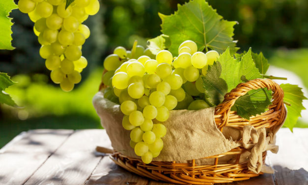 Asoex informa aumento en exportaciones de uva de mesa en Sudeste de Asia