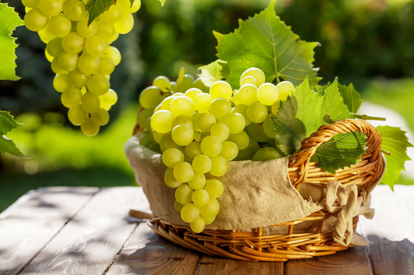 Asoex informa aumento en exportaciones de uva de mesa en Sudeste de Asia