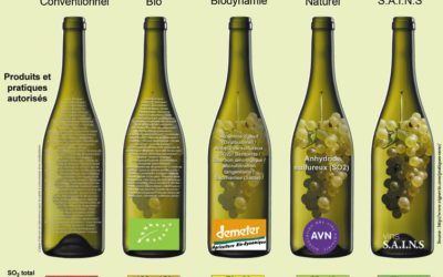 Orgánico, ecológico, biodinámico, vegano… ¿cómo es un vino natural?