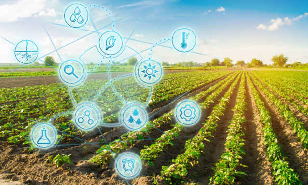 Autoridades regionales del agro anuncian creación de la Red Iberoamericana de Digitalización de Agricultura y Ganadería
