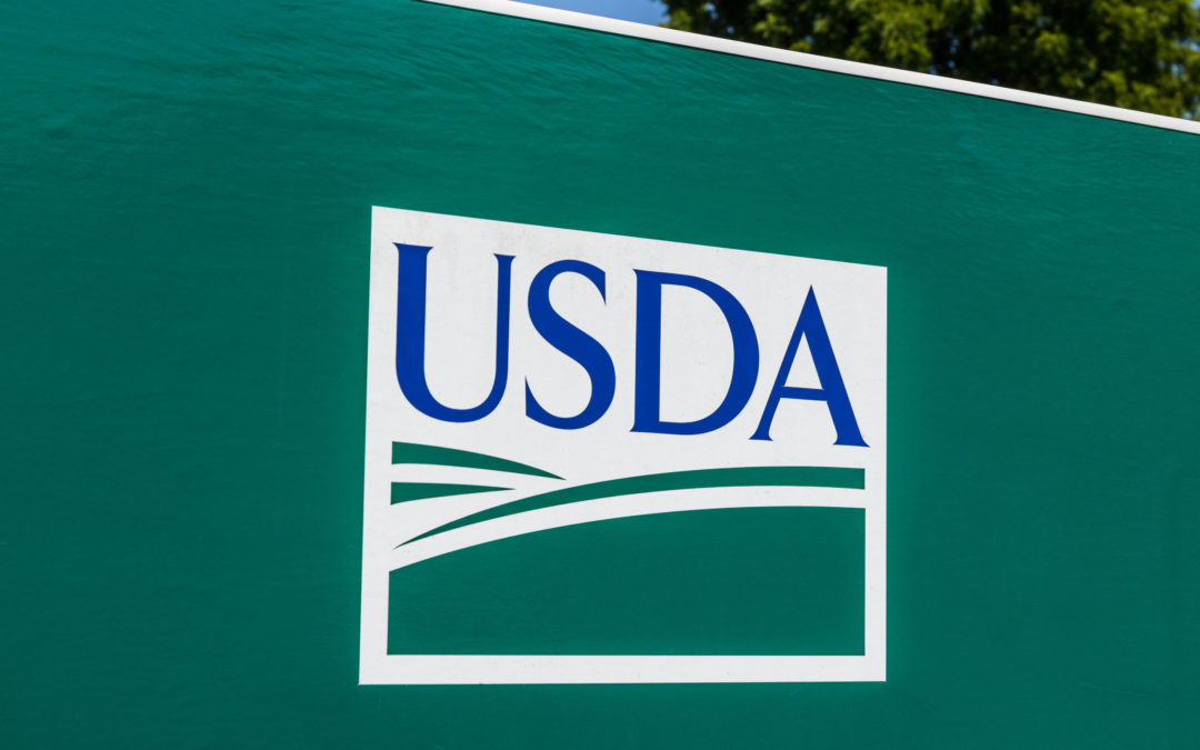 Alza en el precio de la soja por informe del USDA, alcanza los us$530 en Chicago