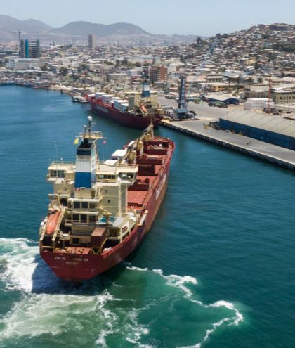 Impulsan exportaciones de cítricos a través del Terminal Puerto de Coquimbo